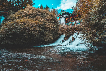 香格里拉之魂在云南李江玉春公园的黑龙池上美观玉雪山和水井大桥的景色之白旅游老背景