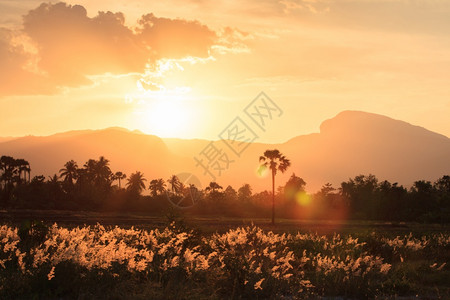 泰国北部清迈省夏季山落后日泰国北部夏令在后面公园图片