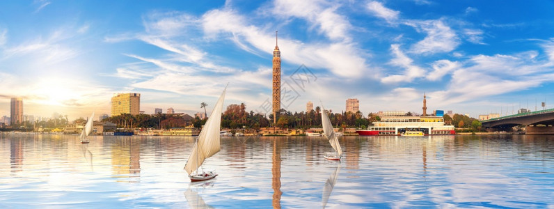 现代的棕榈埃及开罗全景尼河帆船和盖济拉岛观埃及假期图片