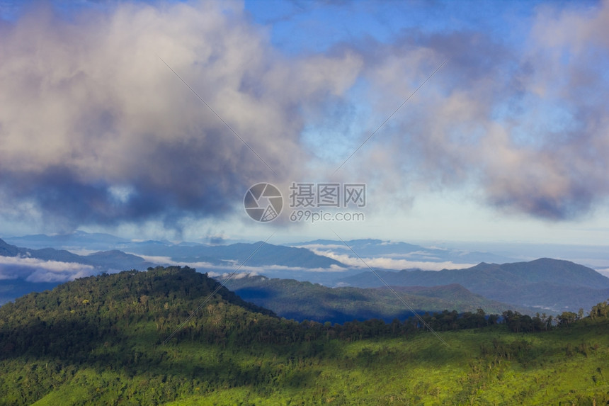 松树水平的山上云北方图片