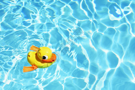 水上黄色橡皮鸭玩具图片
