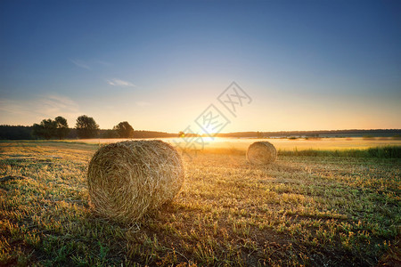 阳光水平的收割概念和新一天黎明的诞生田野上按紧的干草捆绑成圆圈子ACN9WGIWP5粮食背景图片