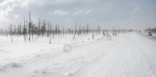 凉爽的二月雪和冰风险暴雪和冰的爆发险天图片