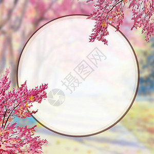 亚洲牌复制你好春季水彩色画泉有植物元素和自然背景的白色圆圈空间浪漫贺卡用壁纸颜色写文字手工绘画图示象等图片