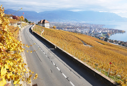 大厦村庄水果穿过瑞士拉沃地区葡萄园的公路图片