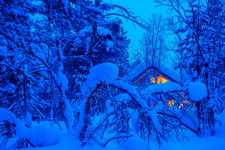 北方的寒夜里大雪纷飞背景