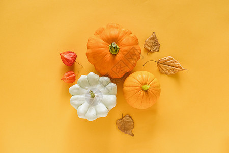 黄色南瓜和秋叶图片