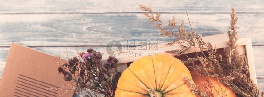 花朵收成秋季橙南瓜干花和草的顶部景色盒式感恩背景蓝铁制木桌色板条复制空间模板供秋收获情调用食物图片