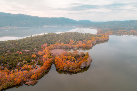 美丽秋季湖边的树林图片