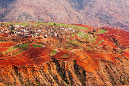 自然美丽的景色日出时多彩的红地古老乡村山背景阳光照耀在田间小麦东川Dongchuan周围春季明光旅行大约图片