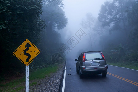 弯曲的旅行树一颗在沥青路上穿过一个迷雾神秘的热带森林穿透泰国某地冒险概念中隐含着的闪光灯和银色SUV车图片