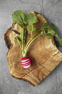 成熟有机的切片种植萝卜蔬菜季节烹饪食物的外观红色欧洲菜片Raphanussativus原始食品概念c种植花粉蔬菜图片