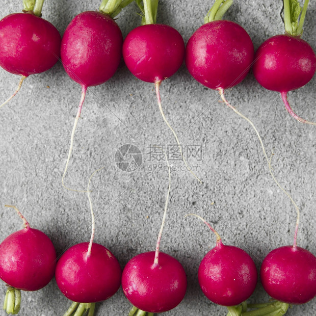 营养欧洲的灰混凝土背景紫色萝卜种植生长的萝卜蔬菜季节烹饪食物配制着欧洲红萝卜拉法努斯Raphanussativus生食品的概念丰图片