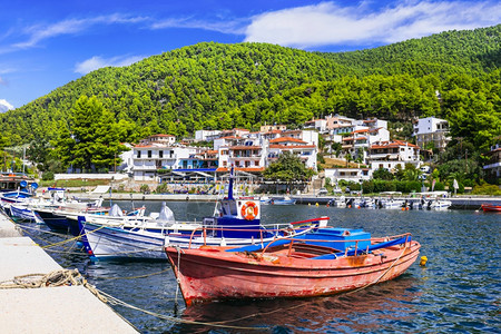 海希腊Skopelos岛斯波拉得希腊Picturesque传统捕鱼村NeoKlima孢子树木图片
