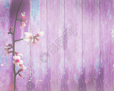 绿色门有点紫色的木质本底春花紫色粉红的木本底杏仁鲜花苦辣的纹身嬉皮士风格垃圾摇滚木制的褪色图片