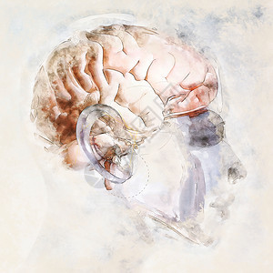 射线思维素描人脑中基于自身3D招标不需要财产释放的人类脑数位艺术拼图图片