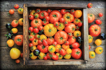 木箱装满农民市场上新鲜的葡萄藤从农民市场获取的传世宝西红柿藤蔓番茄素木头图片