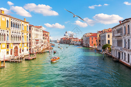 丰富多彩的游客海鸥威尼斯大运河意利圣玛丽亚德拉萨卢特附近湖边的风景图片