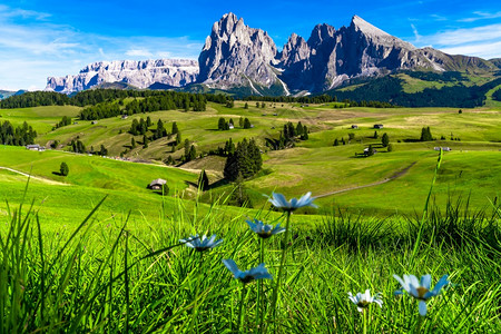 户外意大利语盖斯勒Dolomites的Seceda山脉TrentinoAltoAdigeValdiFunes山谷意大利南蒂罗尔背图片