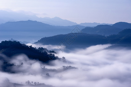 早晨绿色泰国北部山谷美丽的清晨雾梅洪孙潘加宝美丽雾山上有温暖的光芒风多雾路段图片