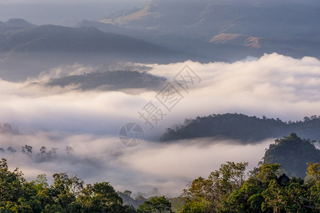 儿子博泰国北部山谷美丽的清晨雾梅洪孙潘加宝美丽雾山上有温暖的光芒风北方图片