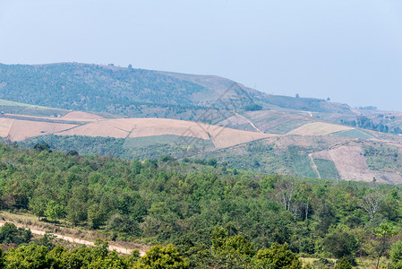 庄稼棕色的范围泰国北部家公园区高山的当地农田方面积图片