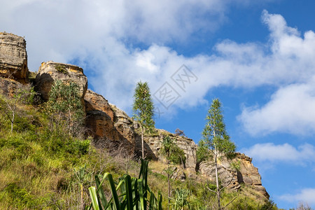 马达加斯长满植物的山和有小云蓝天长满植物的山和有小云蓝天目地风景优美图片