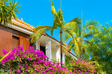 季节西班牙特内里费岛拉克鲁斯港一栋带棕榈叶和鲜花的房子木窗西班牙特内里费岛拉克鲁斯港一栋带棕榈叶和鲜花的房子木窗克鲁兹花园图片