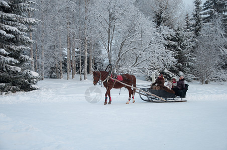 马利快乐的俄罗斯人们骑着马拖雪橇露天博物馆MalyeKorelySnowy森林寒冷的冬天图片