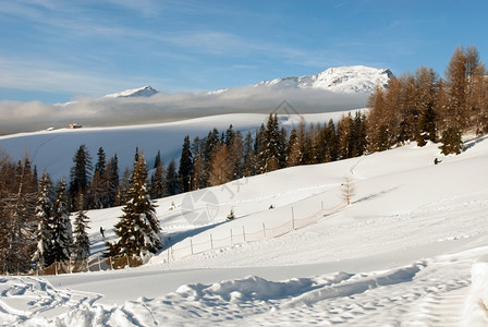 冬季雪景风光图片