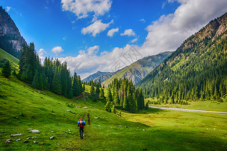 顶峰山上有着美丽的鲜青绿色山地牧场和森林的山岳远大夏日风景山上有美丽的新鲜绿色山地草原和森林户外活动概念与冒险田生卡拉科勒吉尔斯背景