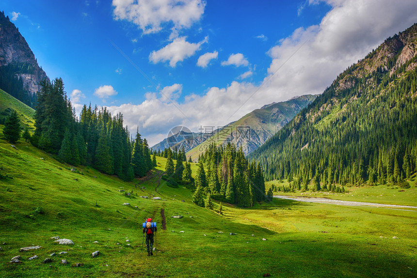 顶峰山上有着美丽的鲜青绿色山地牧场和森林的山岳远大夏日风景山上有美丽的新鲜绿色山地草原和森林户外活动概念与冒险田生卡拉科勒吉尔斯图片