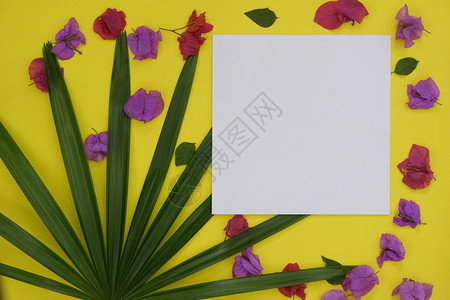 植物群花瓣含有黄色背景热带叶和鲜花文字或图片空间的混版白纸及图绿色图片
