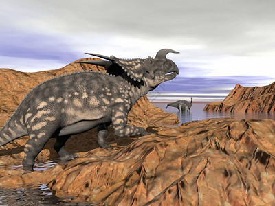 捕食者史前进化恐龙在一块岩石上看着一只正统恐龙在云端的日落下浴池里洗澡恐龙风景3D化身图片