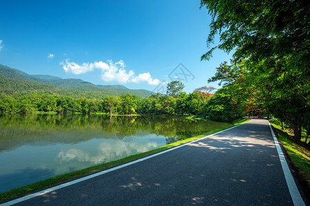 热带AngKaewChangiMai大学森林山蓝天背景白云山林自然之路的一幅景图线观图片