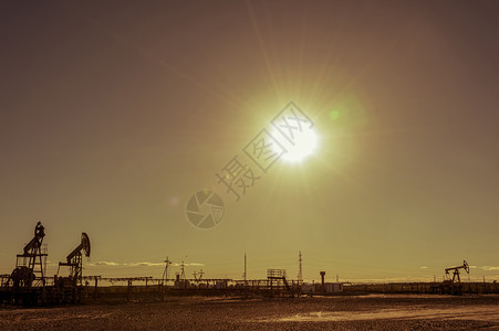 力量石油田的泵夏季炎热阳光明媚的白天海鸥在空中飞涨俄罗斯最小型工业景观西伯利亚托恩特图像油田泵在天空中夏热阳光灿烂的日海鸥最小工图片