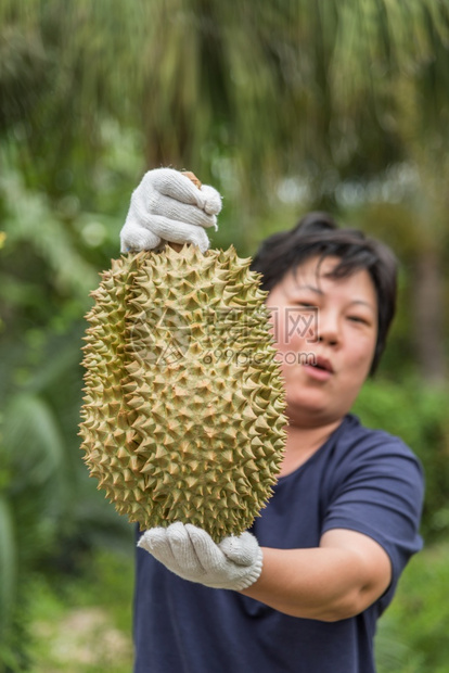 健康拥有都里安的亚洲女农民是泰国的水果之王阿西亚有一个钉子壳在泰国街头小吃市场上可以买到甜美食品和水果市场而拥有都里安的亚洲农户图片