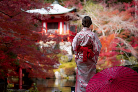 公园在日本京都旅游自然生命的秋季天日本穿传统基米诺礼服的年轻日本女孩旅行者站立在Digoji寺庙配着红塔和木叶游客戏服图片