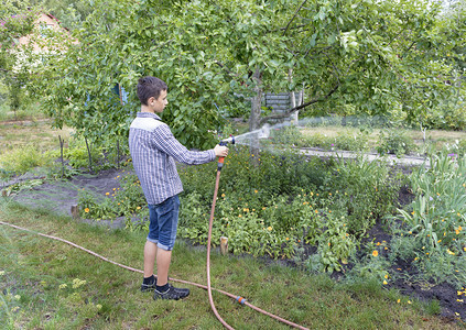 自然一名青年男子用喷水器灌溉花园中的床一名青年男子在花园中从事季节工作园丁人图片