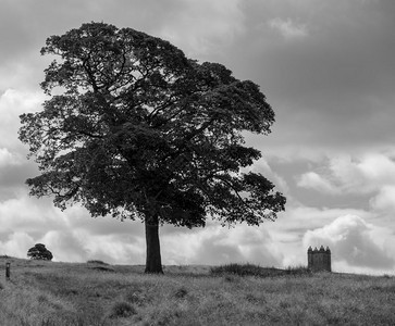 云景场地远处的树和笼子塔在莱姆公园庄单色该由信托基金管理位于英国柴郡峰区森林图片