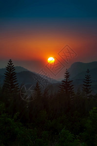 美丽的色彩多日落天空景观月光照亮的山丘和松树林上充满活力晚生动图片