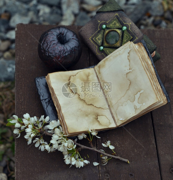 页面手稿有创造力的开放日记包括空页黑苹果和装饰书在木板上布满鲜花的树枝Esoteric哥特和神秘背景上布满奇物体秘和童话故事概念图片