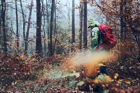 在秋天寒冷的一带着背包在森林周围游荡的女人回到中年活跃女视野积极走在森林道路上花时间女人与背包在森林周围游荡秋天寒冷的一流浪癖游图片