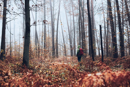 橙在秋天寒冷的一带着背包在森林周围游荡的女人回到中年活跃女视野积极走在森林道路上花时间女人与背包在森林周围游荡秋天寒冷的一请享用图片