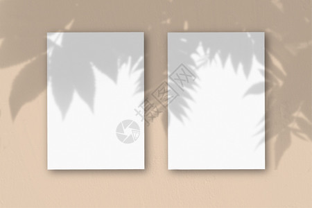 发布会样机桃桌背景上的2张垂直纹理白纸带有植物阴影覆盖的样机自然光从外来植物投射阴影水平方向带有植物阴影的样机覆盖自然光从外来植物投射阴影背景