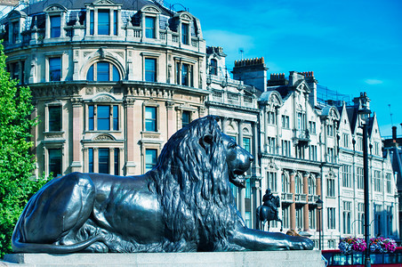 人们游客特拉法加尔狮广场具有古老建筑背景的伦敦生活图片