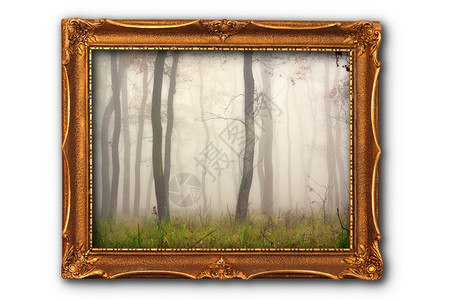 神秘木头季节画框中迷雾森林的图像与白色背景隔绝我在框架内使用的图像也是我照片之一所以没有必要释放财产infoplain图片