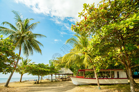 南太平洋流浪癖海岸小屋哥斯达黎加PlayaTarcoles海滩背景