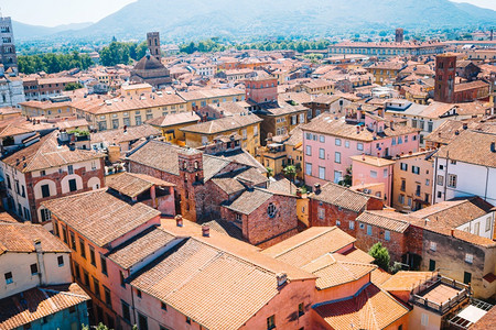 红色的拱对意大利卢卡镇的观察其典型地科塔屋顶对卢卡有红色屋顶的古建筑空中观察博物馆图片