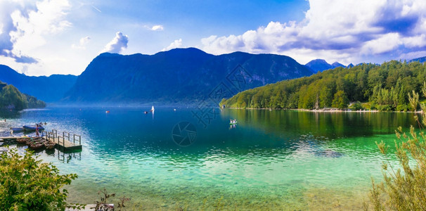 博希尼村庄自然在斯洛文尼亚特里格拉夫公园Triglav公园Bohinj湖的美丽魔法图片
